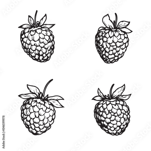 Raspberries In cartoon, hand-drawn flat style. image for social media, websites and UI. Isolated 2D vector design in logo, icon, sketch style, simple line vector, single color. AI Generative Art.