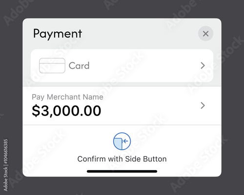 Apple Pay Load Wallet Payment Screen UX UI Template. Total amount merchant