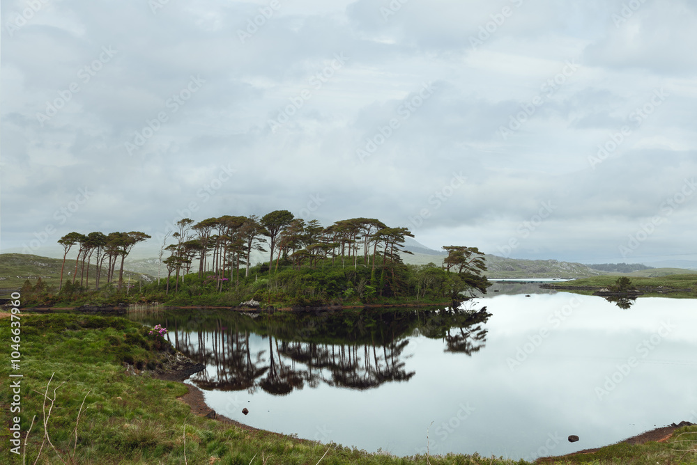 Fototapeta premium Scenic landscape of Pine Island, Galway, Ireland, featuring pine trees mirrored on a tranquil lake, set against a backdrop of rolling hills and a cloudy sky