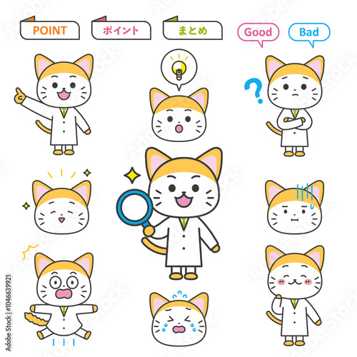 猫の先生　キャラクターイラスト