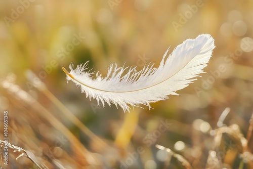 Federleicht. White Feather Jacket. Weightless Down Flying Concept photo