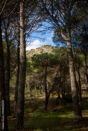 La Peña Muñana tras los pinares