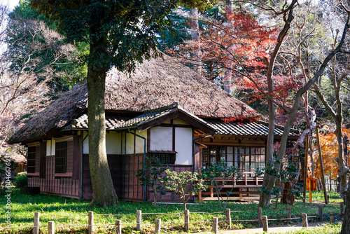 蘆花恒春園　徳冨蘆花旧宅付近の紅葉（東京都世田谷区）