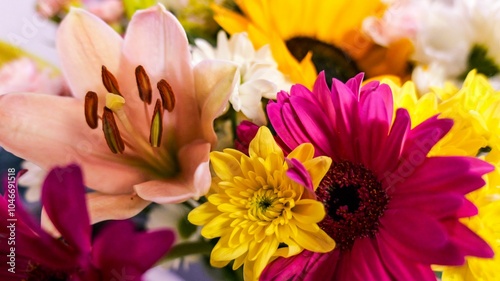 Vibrant close-up of assorted colorful flowers.