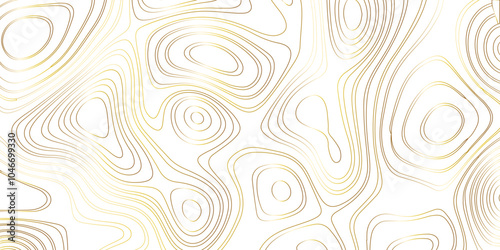 Abstract design with black and white abstract papercut and multi-layer cutout geometric pattern on vector Topographic canyon geometric map relief texture with curved layers beautiful design.	
