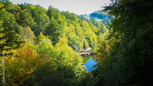 Lush forest landscape with vibrant green and yellow trees surrounding a serene river.