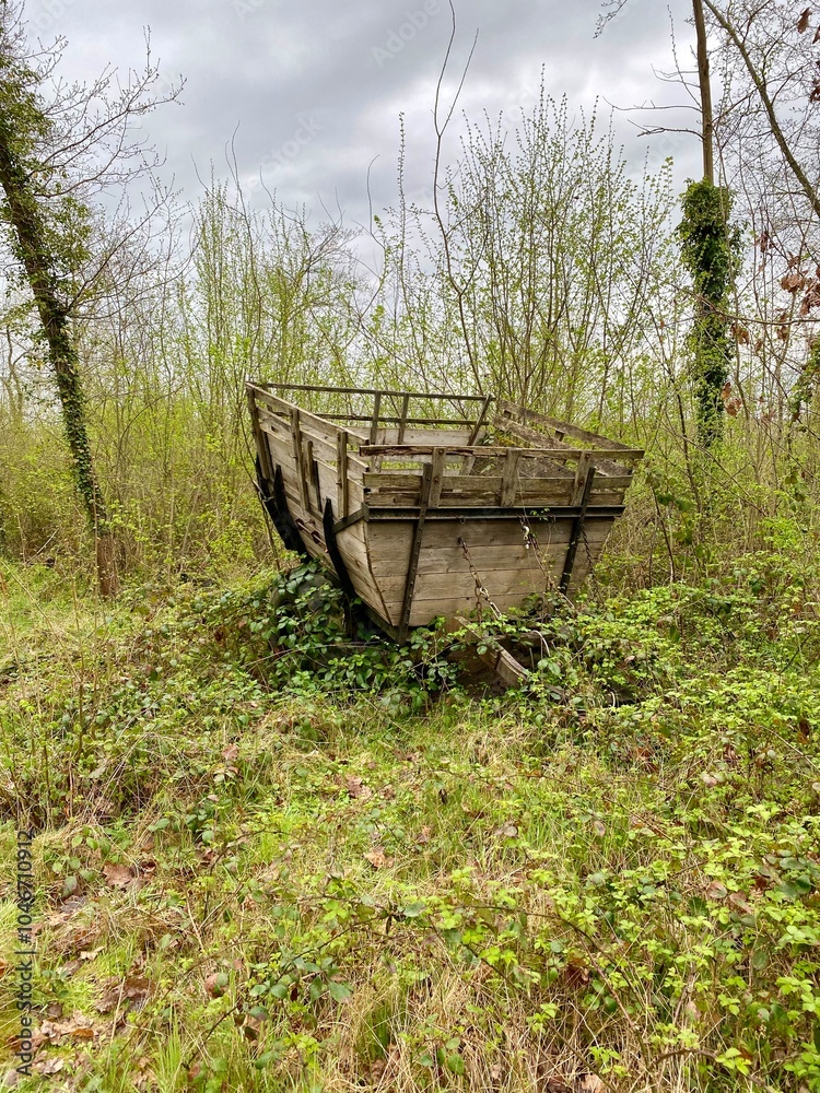 Abandoned Wooden Cart in Overgrown Vegetation Abandoned Wooden Cart in Overgrown Vegetation