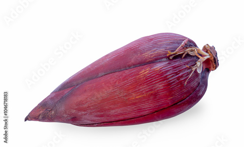 Banana blossom before it becomes a banana bunch. Banana pods or flowers from a banana tree before it becomes a banana bunch. Raw banana blossoms can be used in cooking.