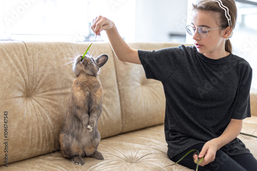 A girl is feeding a pet rabbit on the sofa. Pet concept. photo