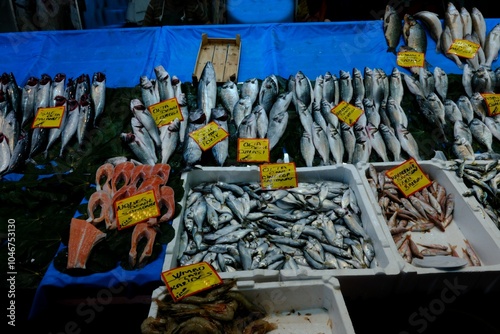 Fresh fish sold at the fishmonger. bonito, turbot, anchovy, horse mackerel. Fishing ban. Fishing season. Fish prices. photo