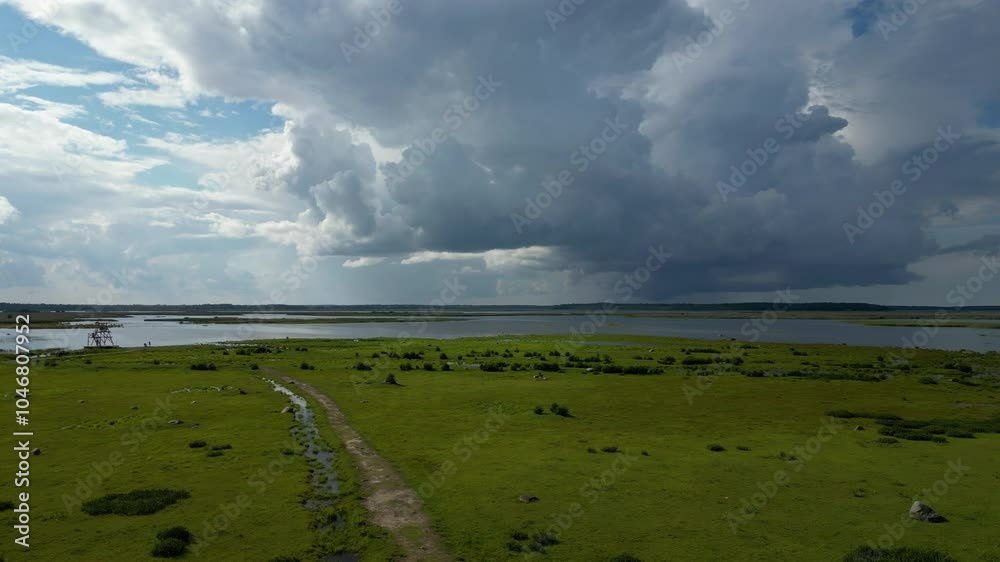 A moody scene of Semigallia’s wetlands, with storm clouds building in the distance. The lush green pastures reflect on the water’s surface, emphasizing the serene yet powerful beauty of nature. 4K. A moody scene of Semigallia’s wetlands, with storm clouds building in the distance. The lush green pastures reflect on the water’s surface, emphasizing the serene yet powerful beauty of nature. 4K.