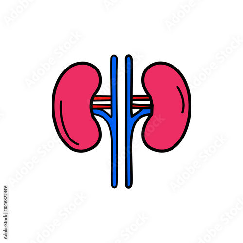 Kidney vector icon. Human internal organ design.