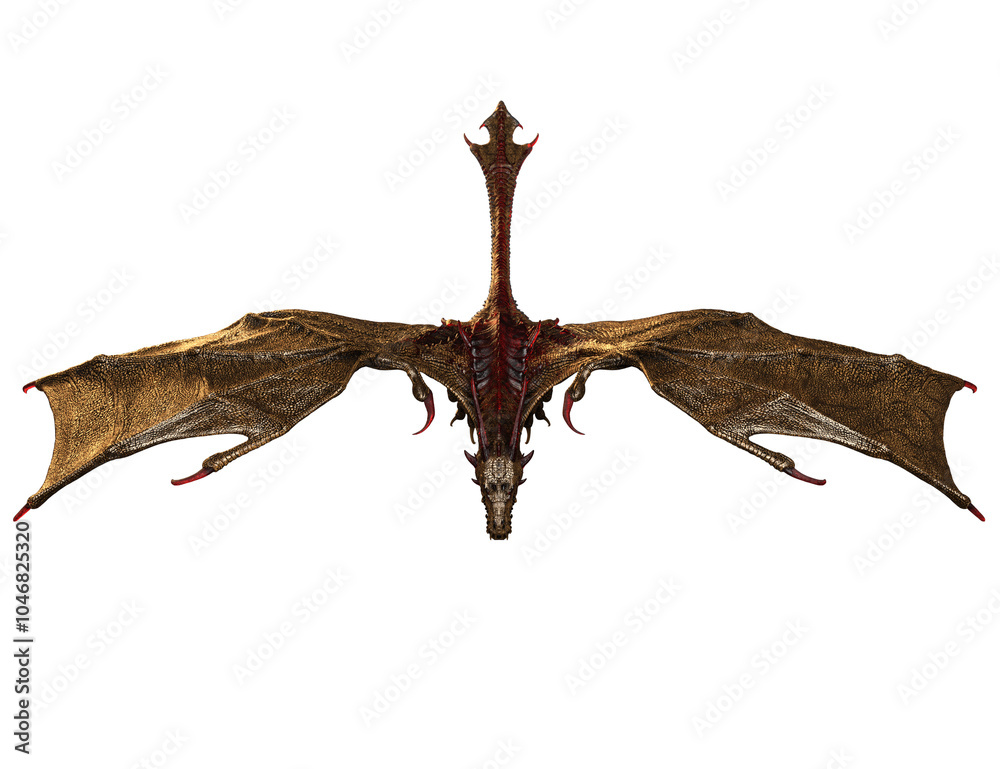 3D rendered dragon isolated on transparent background 3D rendered dragon isolated on transparent background