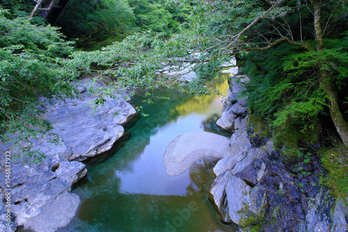祖谷のかずら橋からの眺め　徳島県