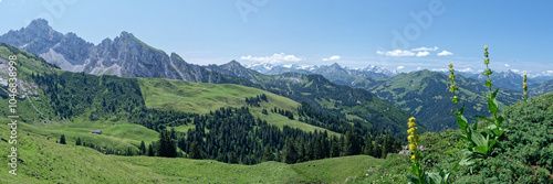 Magnifique vue panoramique des montagnes avoisinantes à Seebergsee en Suisse