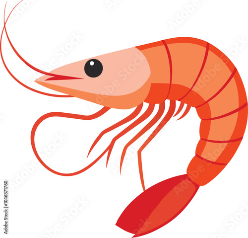 illustration of shrimp