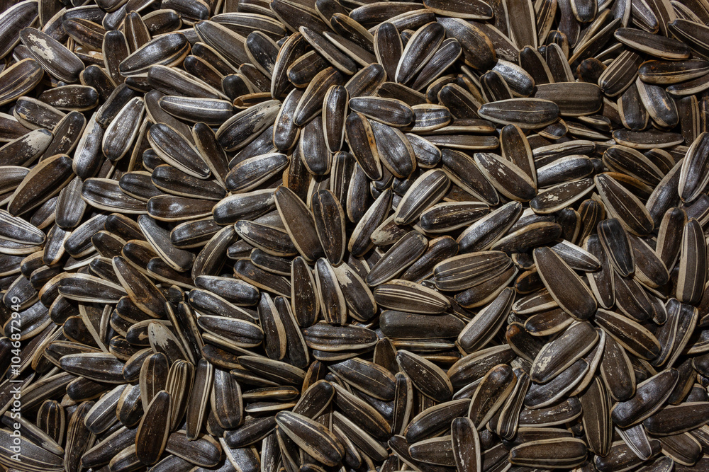 Non Salty Roasted Sunflower Seeds in Shell: A Culinary Canvas of Sunflower Kernels, Creating a Lively and Textured Background for Gourmet Cooking. Scattered Sun Flower Seeds - Top View, Flat Lay Non Salty Roasted Sunflower Seeds in Shell: A Culinary Canvas of Sunflower Kernels, Creating a Lively and Textured Background for Gourmet Cooking. Scattered Sun Flower Seeds - Top View, Flat Lay