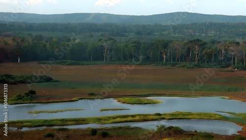 The Serene Beauty of Yala National Park