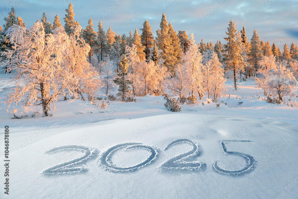 2025 written in the snow, winter holidays, landscape greeting card