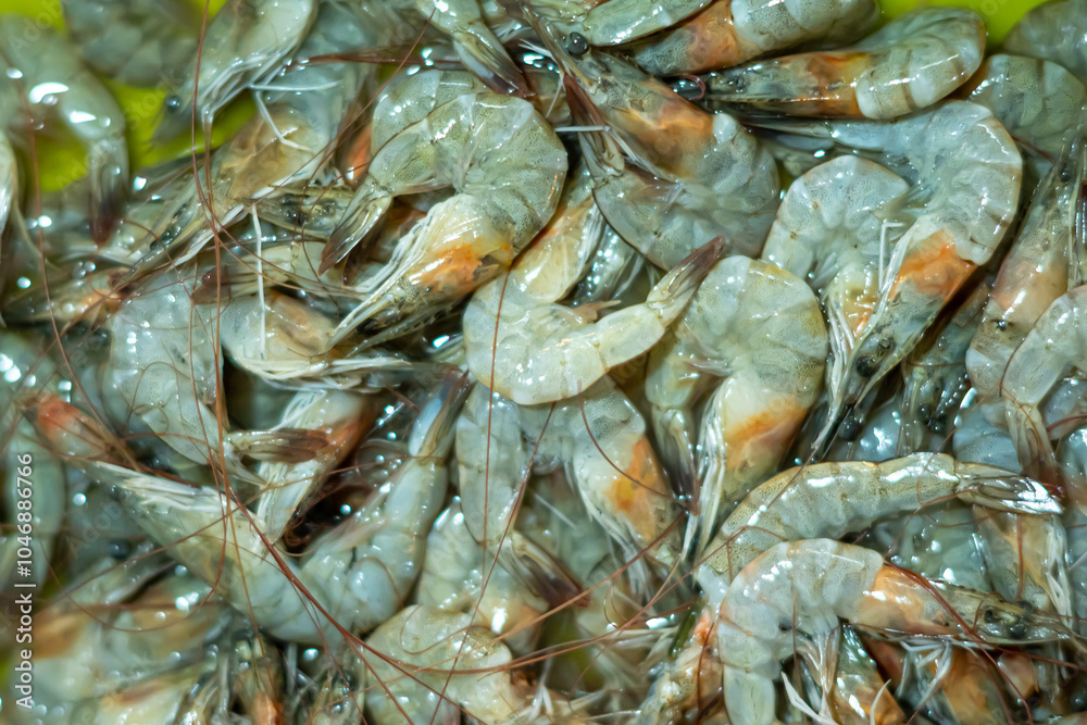Shrimp are bought and sold by traders in a traditional market Shrimp are bought and sold by traders in a traditional market