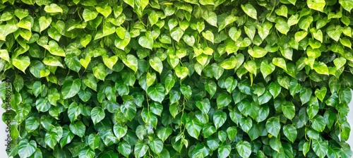 Lush Green Leaves Wall Background Dense Tropical Foliage Texture in a Seamless Natural Pattern