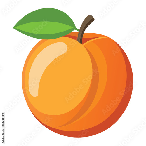 Clementine vector illustration Isolated white background.