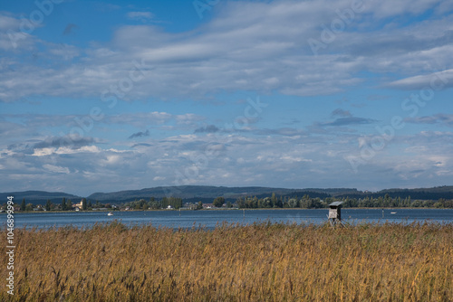 Bodensee, Blick über Schilf zur Insel Reichenau photo