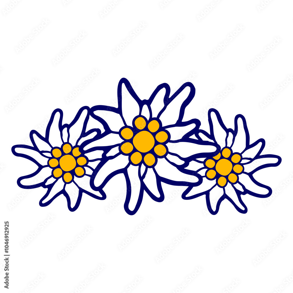 White Alps Edelweiss Flower Mountain Hiking Happy Small Pretty Leaf Beautiful Green Plant Blooming Nature Lover Flowers Gardening Gardeners Thumb Garden Hobby Blooms Blossoms Gardener Leisure Summer