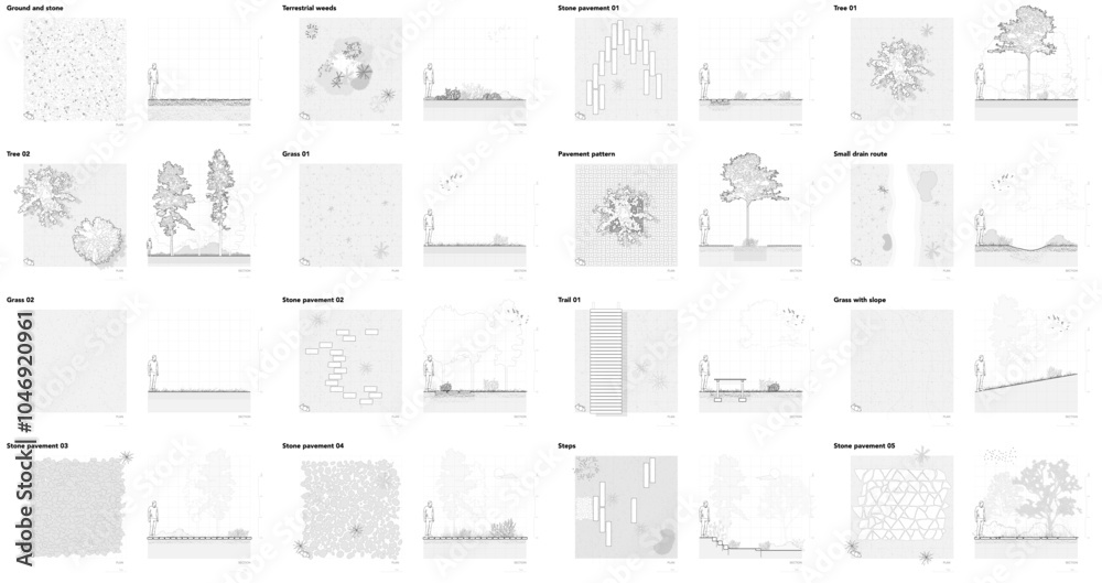 Architectural Drawings, Minimal style cad tree line drawing, Side view, plan and section forest outline symbol for landscape design drawing. Vector illustration in stroke fill in white.