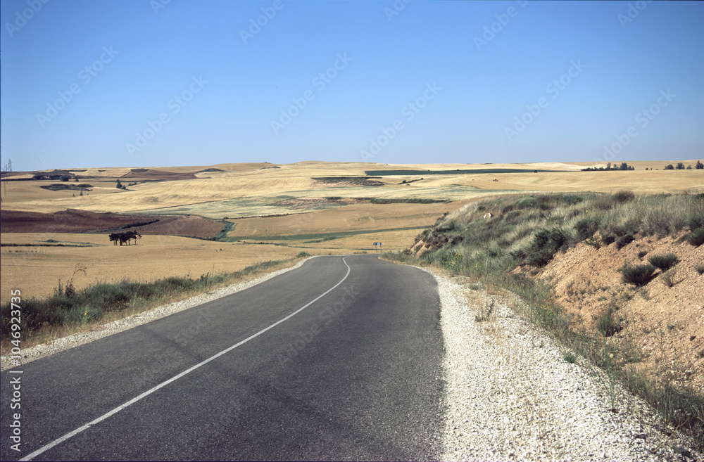 Rural landscape along the road from Burgos to Penafiel, Spain Rural landscape along the road from Burgos to Penafiel, Spain