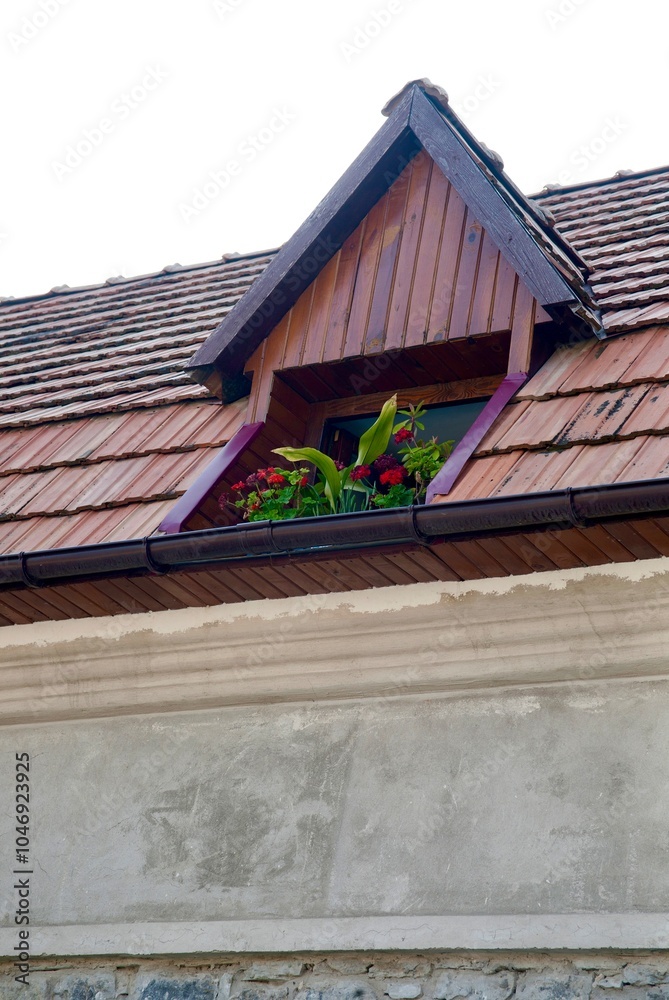 Fototapeta premium House roof with window and flowerpots