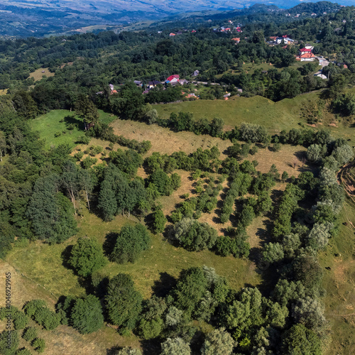 Summer Serenity: Lush Green Pastures and Hills in Rural Arges County, Romania photo