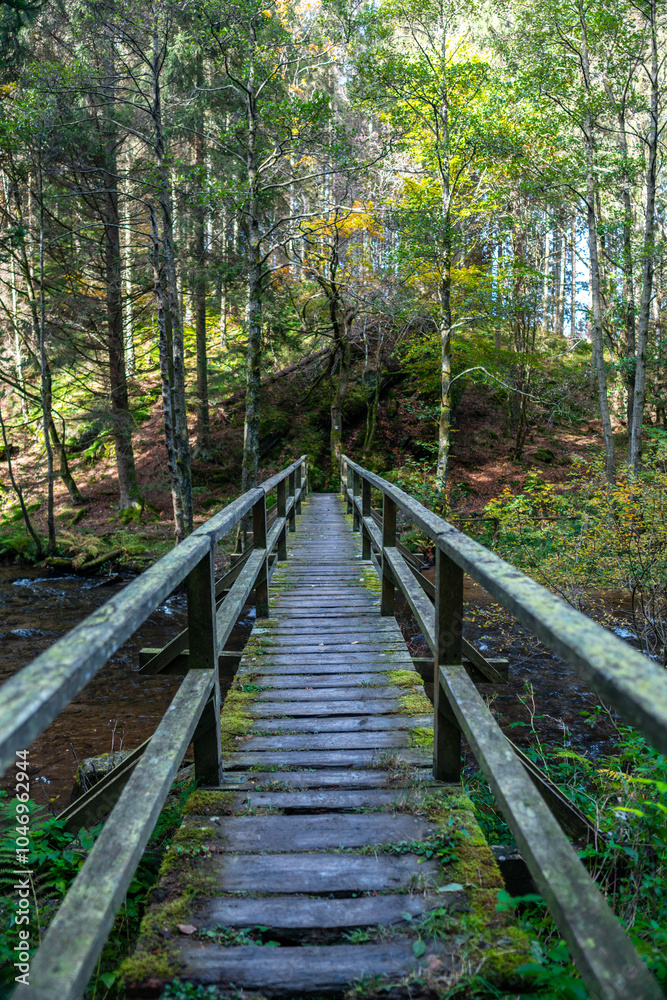 Brücke über den Perlenbach nahe der Höfener Mühle und der Perlenbachtalsperre auf der Narzissenroute in der Eifel im Herbst Brücke über den Perlenbach nahe der Höfener Mühle und der Perlenbachtalsperre auf der Narzissenroute in der Eifel im Herbst