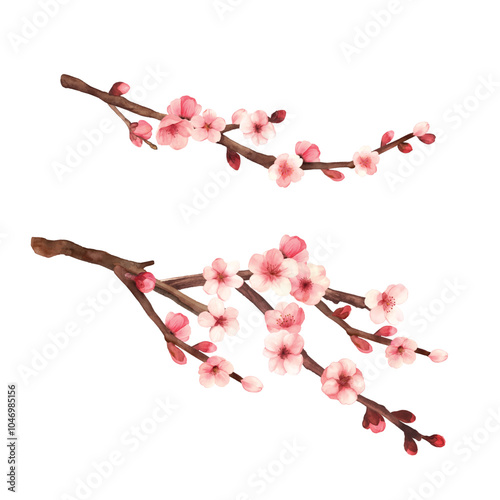 Hand-drawn water colour painting plum blossom