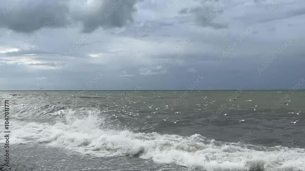 Flock of seagulls soaring above turbulent sea waves with overcast sky and strong winds Flock of seagulls soaring above turbulent sea waves with overcast sky and strong winds
