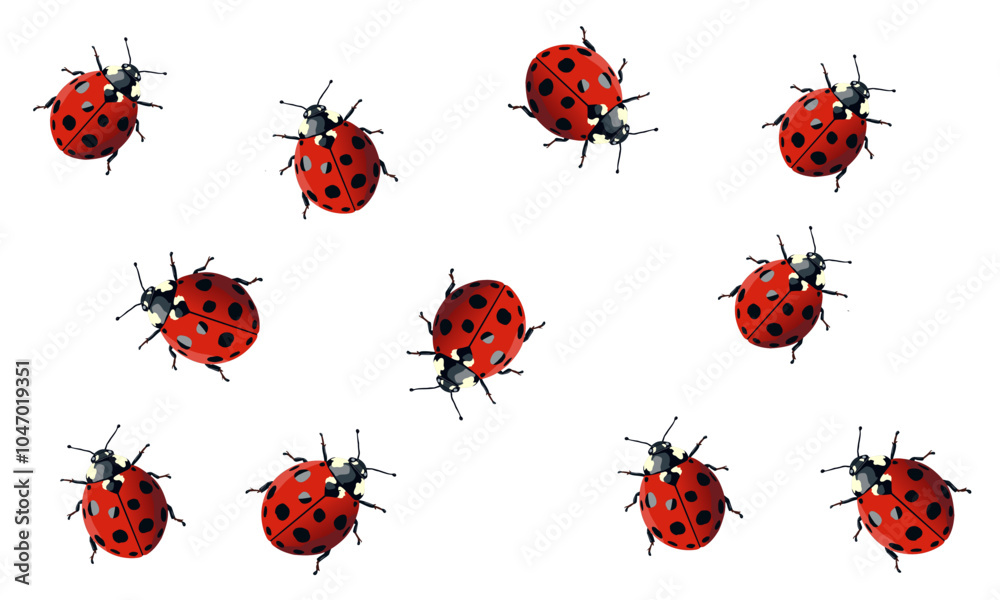 Fototapeta premium set of ladybugs on white