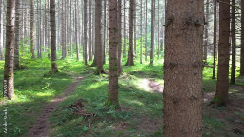 Wallpaper Mural Hiking near the Riva waterfalls - Italy Torontodigital.ca