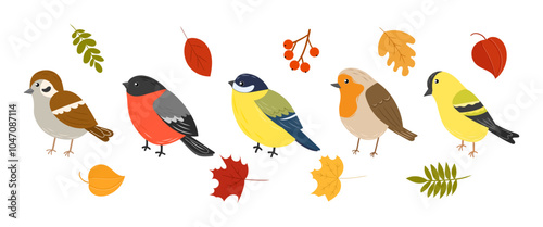 Set of cute birds different breeds, colors. Sparrow, siskin, robin, tit, bullfinch. Autumn birds, leaves and berries. Vector illustration, hand drawn, flat style.