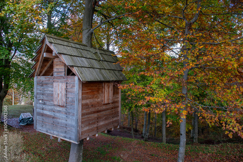 Wooden house built on tree