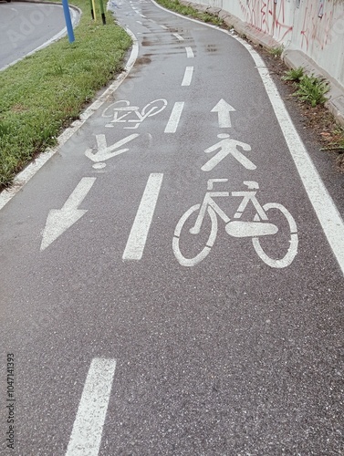 bicycle lane sign