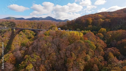 aomori japan fpv drone 4k footage autumn leaves Jogakura Bridge