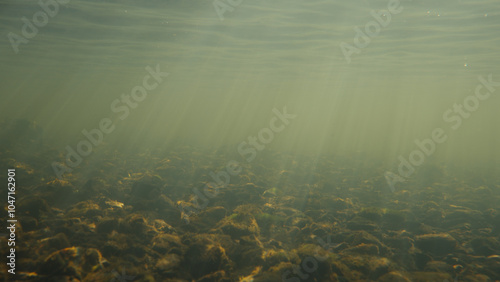 Foto Light rays shining underwater in a small river during sunrise