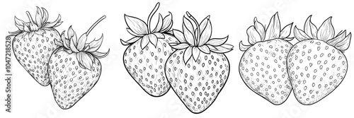 Strawberries Sketch Illustration with Leaves Hand drawn