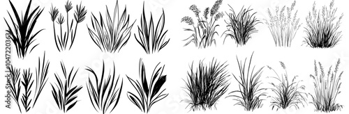 Outline summer landscape with grassy scribble doodles. Hand drawn line meadow illustration isolated on white.