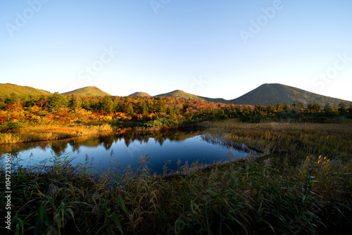 日本、青森県、早朝の睡蓮沼の紅葉
