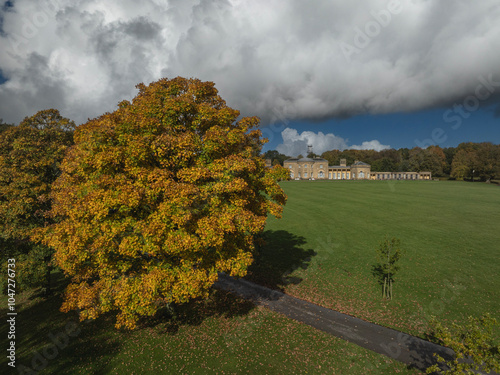 landscape with trees and clouds photo