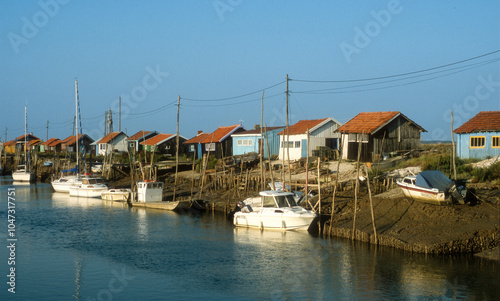 Huitre, Ostrea edulis, Port ostreicole, La Tremblade, 17, Charente Maritime, France