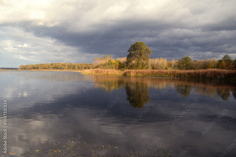 Fototapeta premium Etang de La Horre, Réserve naturelle nationale, Parc naturel régional de la forét d'Orient, 10, Aube, France