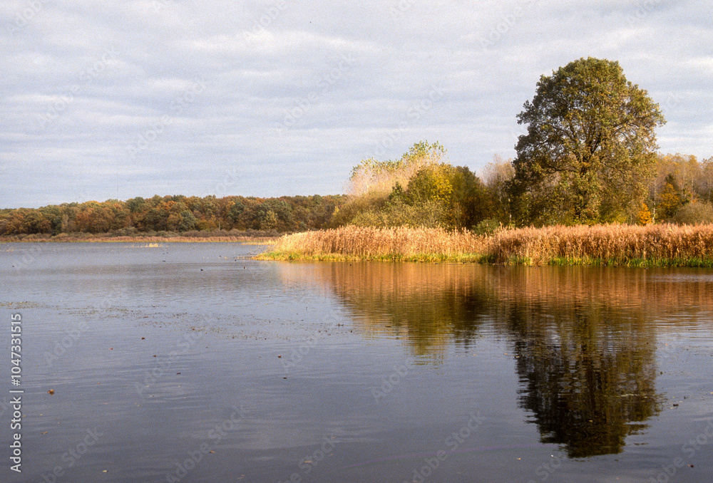 Etang de La Horre, Réserve naturelle nationale, Parc naturel régional de la forét d'Orient, 10, Aube, France Etang de La Horre, Réserve naturelle nationale, Parc naturel régional de la forét d'Orient, 10, Aube, France