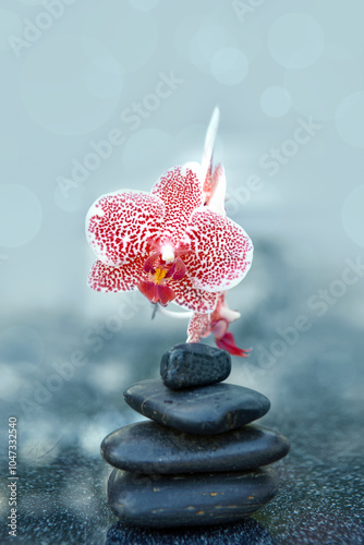 Spa stones and pink orchid flowers on the gray table background.